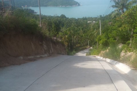 Land in Surat Thani, Thailand 4800 sq.m. № 140039 - photo 7