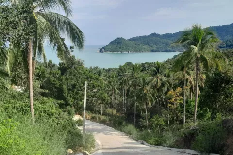 Land in Surat Thani, Thailand 4800 sq.m. № 140039 - photo 3