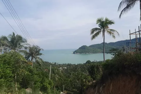 Land in Surat Thani, Thailand 4800 sq.m. № 140039 - photo 2