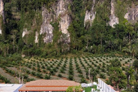 Вилла в Краби, Таиланд с 3 спальнями  № 158249 - фото 8