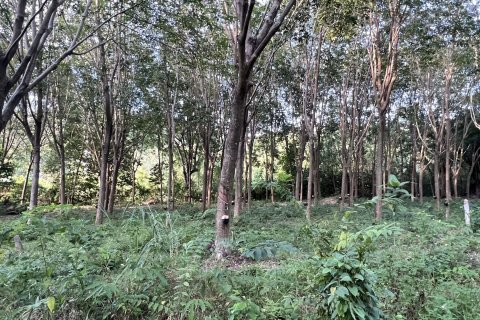 Земельный участок в Самуи, Таиланд 1600м2  № 147649 - фото 8