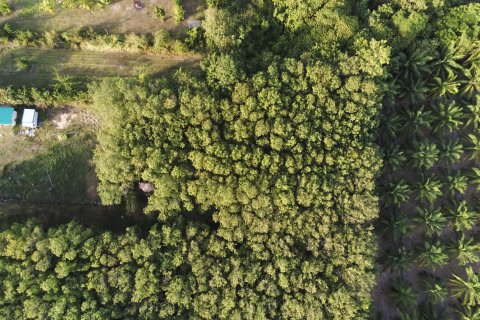 Земельный участок в Самуи, Таиланд 1600м2  № 147649 - фото 1