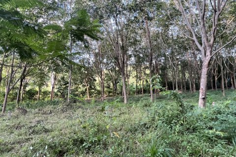 Земельный участок в Самуи, Таиланд 1600м2  № 147649 - фото 9