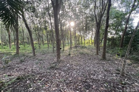 Земельный участок в Самуи, Таиланд 1600м2  № 147649 - фото 3