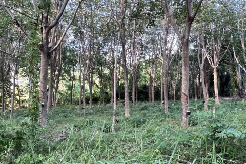 Земельный участок в Самуи, Таиланд 1600м2  № 147649 - фото 7