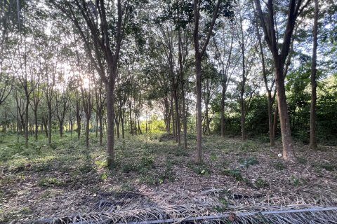 Земельный участок в Самуи, Таиланд 1600м2  № 147649 - фото 2