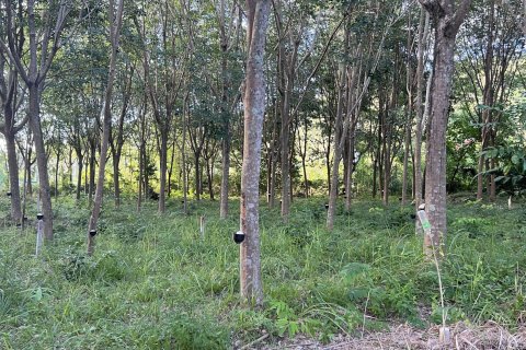 Земельный участок в Самуи, Таиланд 1600м2  № 147649 - фото 5