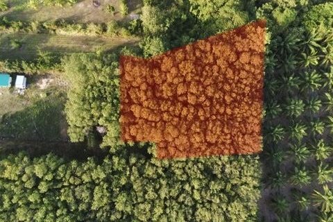 Земельный участок в Самуи, Таиланд 1600м2  № 147649 - фото 12