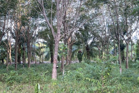 Земельный участок в Самуи, Таиланд 1600м2  № 147649 - фото 11