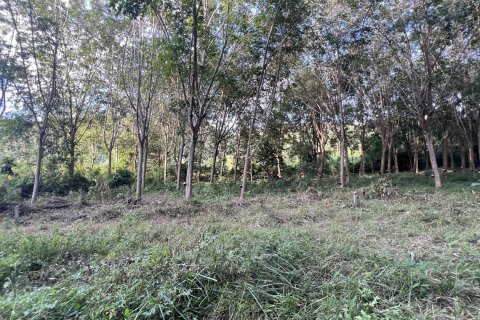 Земельный участок в Самуи, Таиланд 1600м2  № 147649 - фото 10