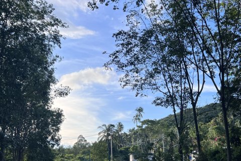 Земельный участок в Самуи, Таиланд 1600м2  № 147649 - фото 4