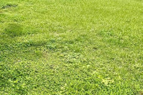 Terrain à Chiang Mai, Thaïlande 456 m2 № 147651 - photo 5