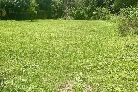 Terrain à Chiang Mai, Thaïlande 456 m2 № 147651 - photo 3