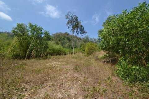 Земельный участок в Пхукете, Таиланд 91200м2  № 150132 - фото 2