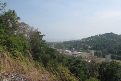 Земельный участок в Пхукете, Таиланд 91200м2  № 150132 - фото 3