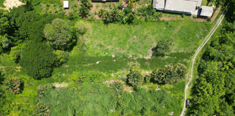 Земельный участок в Пхукете, Таиланд 583м2  № 158154