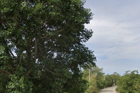 Земельный участок в Накхонратчасиме, Таиланд 17600м2  № 158155 - фото 2