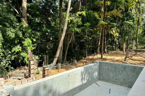 Villa in Surat Thani, Thailand 3 bedrooms № 114151 - photo 3