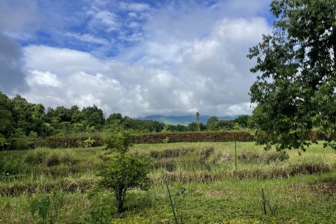 Земельный участок в Мае Риме, Таиланд 3880м2  № 167764 - фото 4