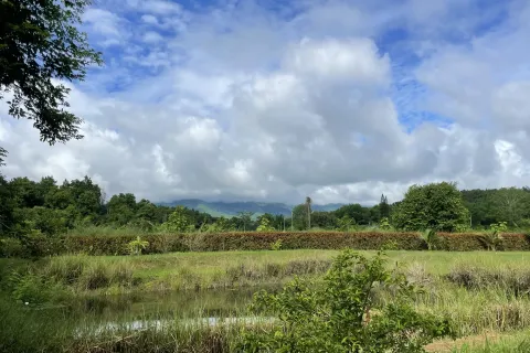 Земельный участок в Мае Риме, Таиланд 3880м2  № 167764 - фото 2