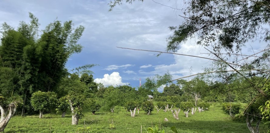 Земельный участок в Мае Риме, Таиланд 3880м2  № 167764