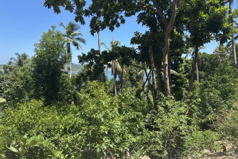 Land in Surat Thani, Thailand № 134622 - photo 4