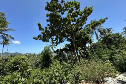 Земельный участок в Сураттхани, Таиланд № 134622 - фото 3