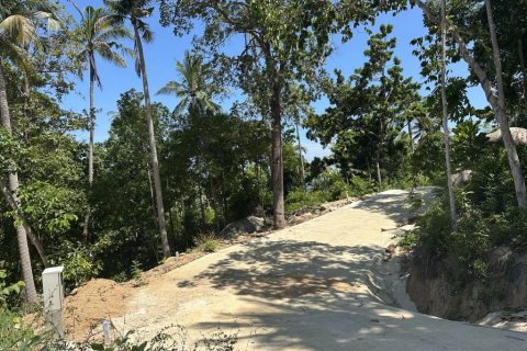 Land in Surat Thani, Thailand № 134622 - photo 6