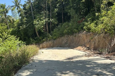 Land in Surat Thani, Thailand № 134622 - photo 2