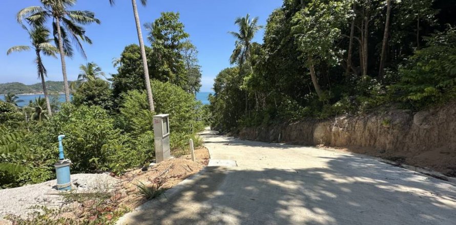 Земельный участок в Сураттхани, Таиланд № 134622