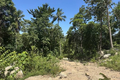 Земельный участок в Сураттхани, Таиланд № 134622 - фото 5