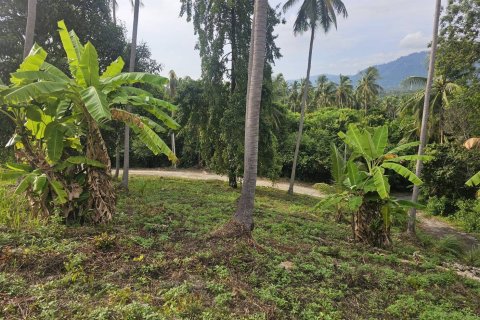 Земельный участок в Самуи, Таиланд 4676м2  № 152894 - фото 6