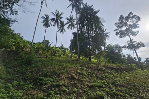 Земельный участок в Самуи, Таиланд 4676м2  № 152894 - фото 8