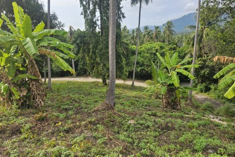 Земельный участок в Самуи, Таиланд 4676м2  № 152894 - фото 2