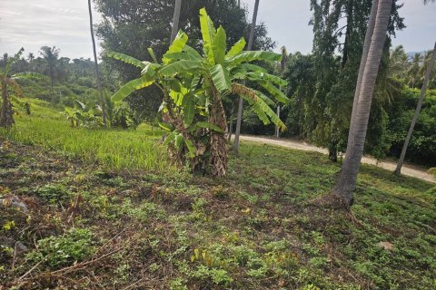 Земельный участок в Самуи, Таиланд 4676м2  № 152894 - фото 7
