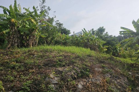 Земельный участок в Самуи, Таиланд 4676м2  № 152894 - фото 4