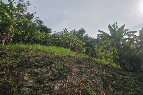 Земельный участок в Самуи, Таиланд 4676м2  № 152894 - фото 5