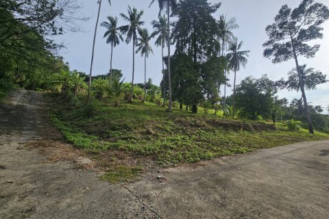 Земельный участок в Самуи, Таиланд 4676м2  № 152894 - фото 9
