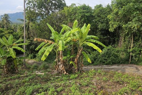 Земельный участок в Самуи, Таиланд 4676м2  № 152894 - фото 3