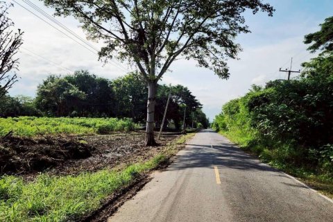 Terrain à Pak Chong, Thaïlande 57600 m2 № 152892 - photo 15