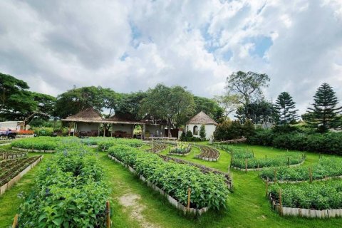 Terrain à Pak Chong, Thaïlande 57600 m2 № 152892 - photo 5