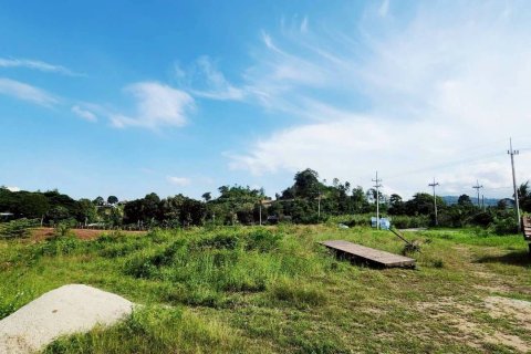 Terrain à Pak Chong, Thaïlande 57600 m2 № 152892 - photo 13