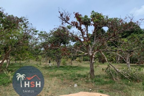 Land in Ko Samui, Thailand 3200 sq.m. № 180076