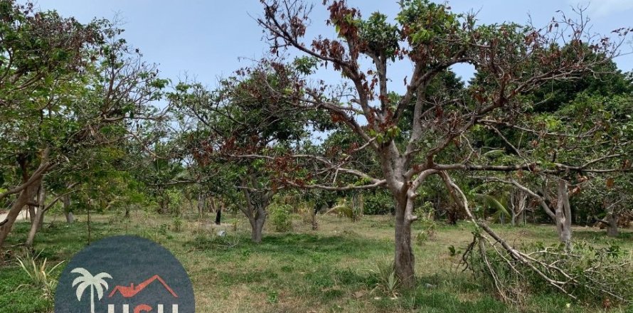 Land in Ko Samui, Thailand 3200 sq.m. № 180076