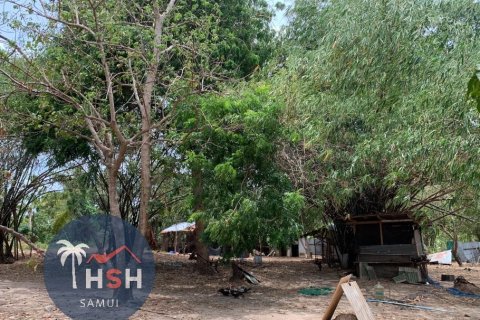 Land in Ko Samui, Thailand 7200 sq.m. № 180075