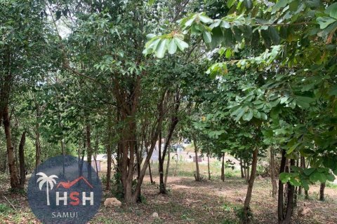 Land in Ko Samui, Thailand 2000 sq.m. № 180077 - photo 2