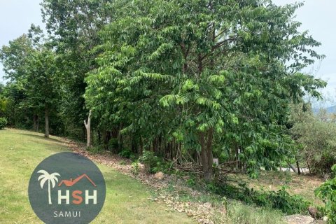 Land in Ko Samui, Thailand 2000 sq.m. № 180077