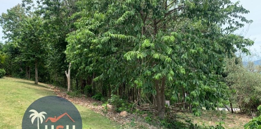 Land in Ko Samui, Thailand 2000 sq.m. № 180077