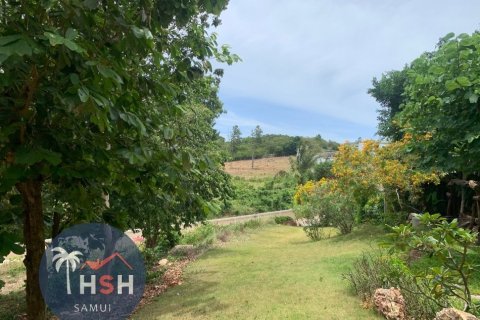 Land in Ko Samui, Thailand 2000 sq.m. № 180077 - photo 3