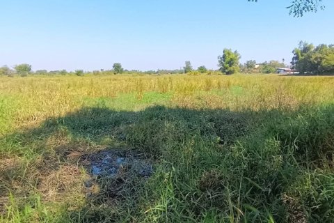 Земельный участок в Накхонратчасиме, Таиланд 25600м2  № 158204 - фото 3